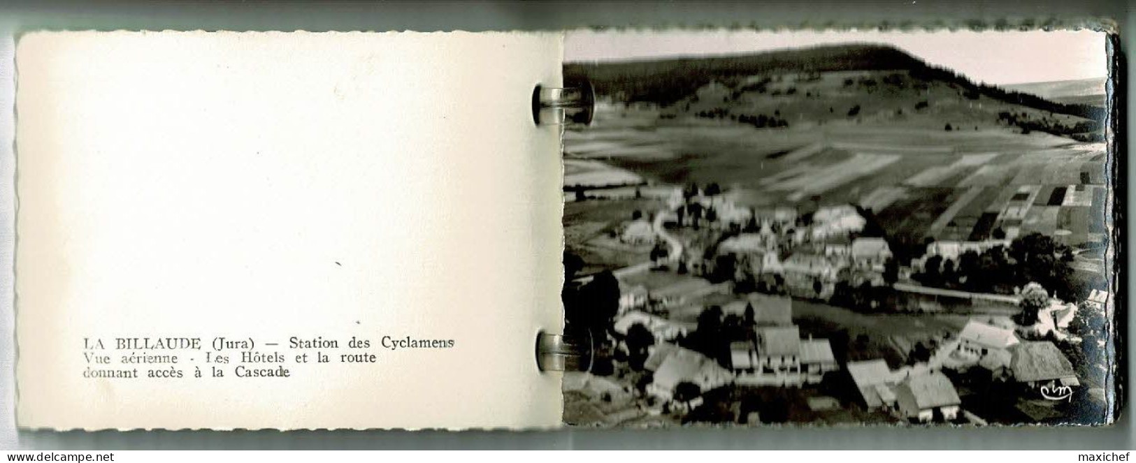 Carnet Mini-vues (10) Souvenir Voyage à La Billaude (Vue Aérienne, Cascade, Attelage Boeufs, Le Vaudioux) Format 6 X 9 - Autres & Non Classés