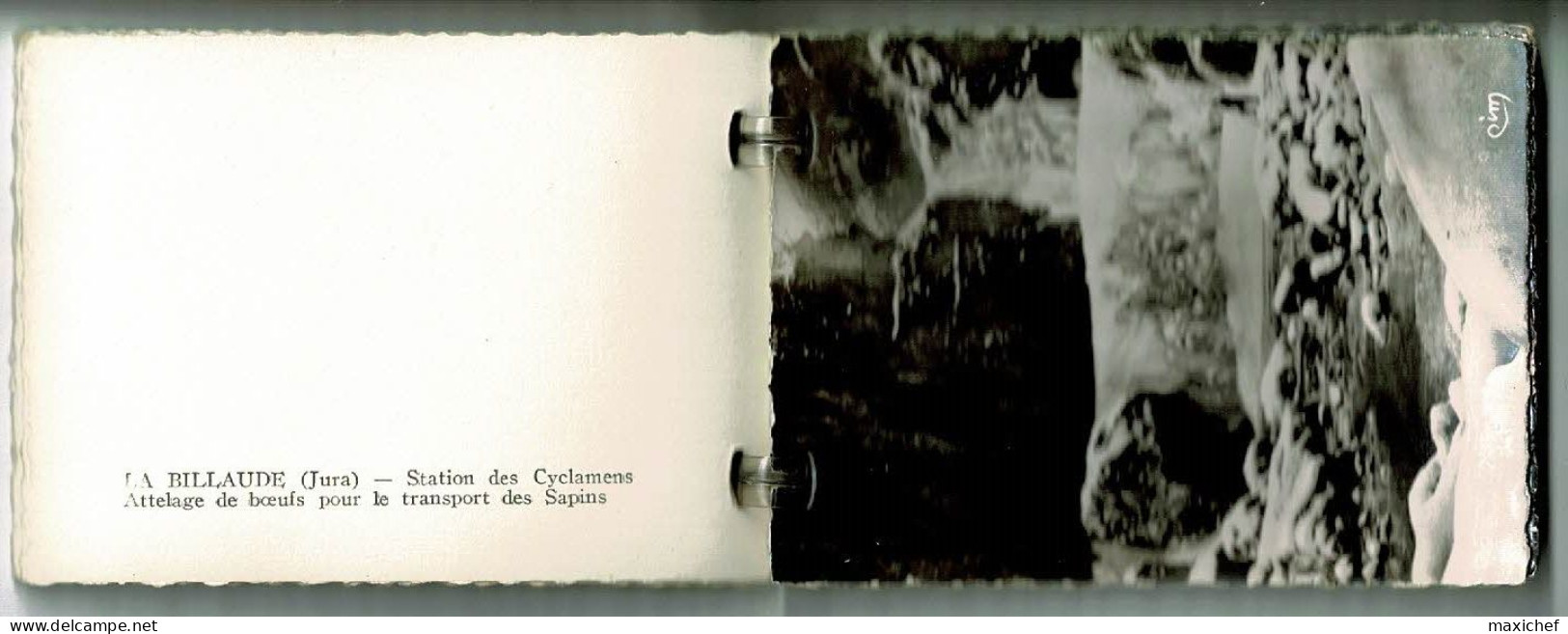 Carnet mini-vues (10) Souvenir Voyage à La Billaude (Vue aérienne, cascade, attelage boeufs, Le Vaudioux) format 6 X 9