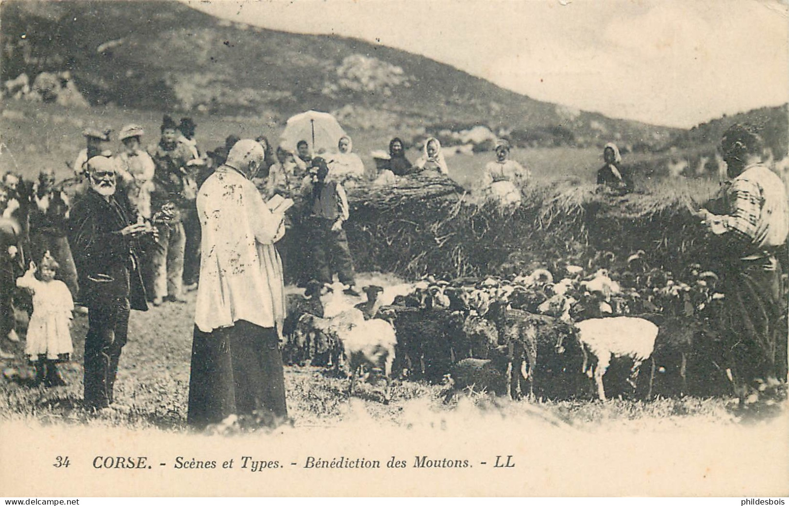 CORSE  Scenes Et Types  Benediction Des Moutons - Andere & Zonder Classificatie