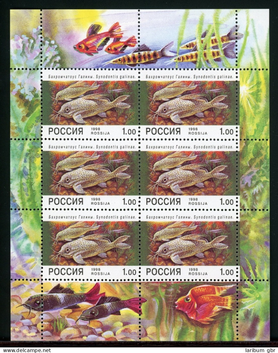 Russland Kleinbogen 648 Postfrisch Fische #HX222 - Sonstige & Ohne Zuordnung