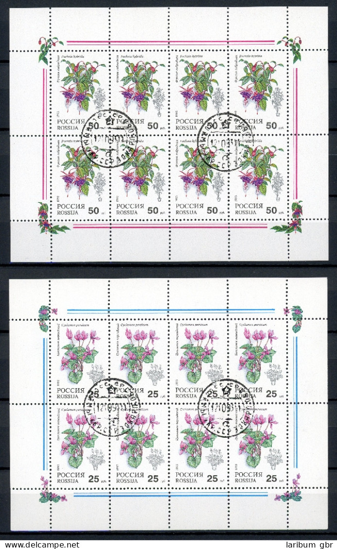 Russland Kleinbogen 298-299 Gestempelt Blumen #HX210 - Other & Unclassified