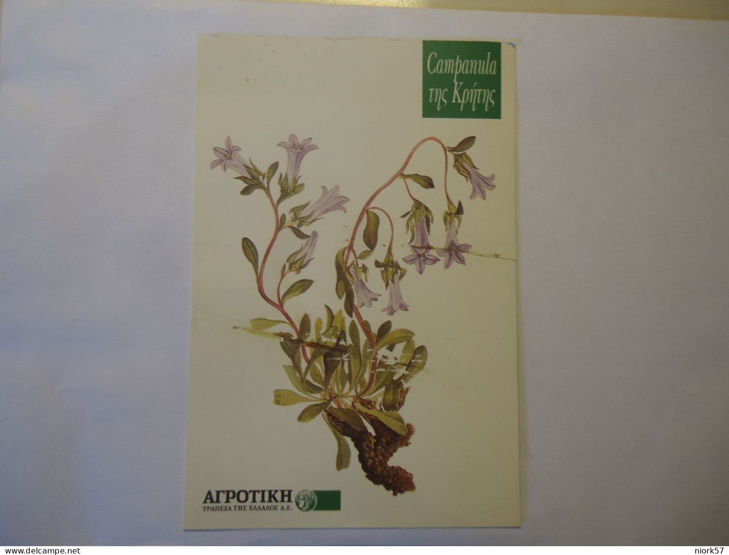 GREECE CRETE  POSTCARDS CRETA CAMPANULA  ΚΡΗΤΗ ΒΟΤΑΝΟ  ΑΤΕ - Grèce