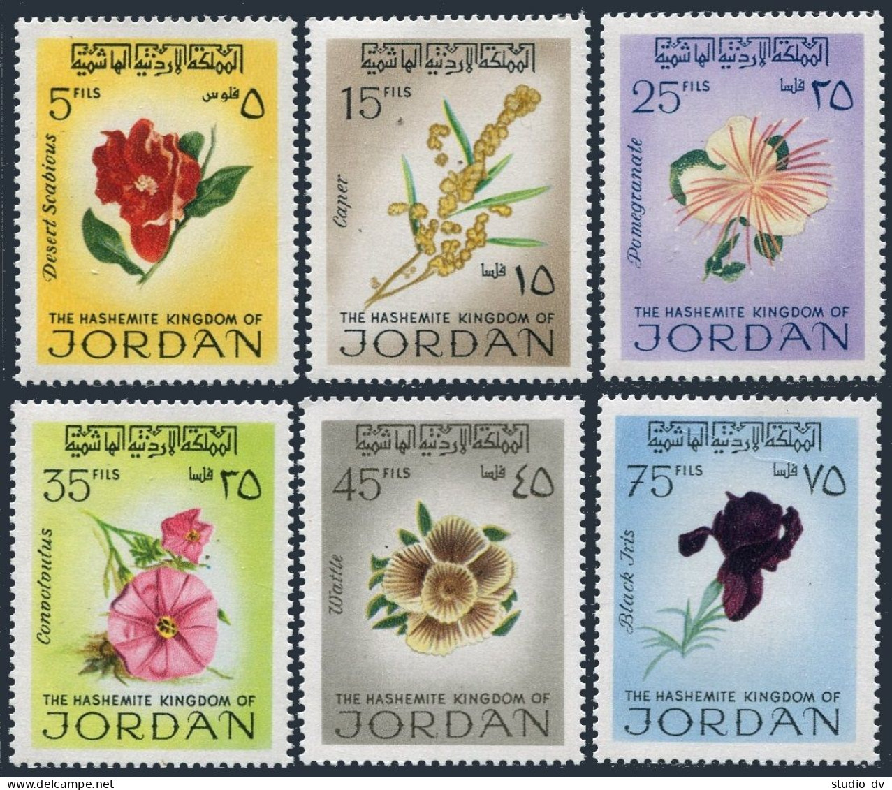 Jordan 576/586, MNH. Michel 774-779. Flowers 1970. - Jordanië