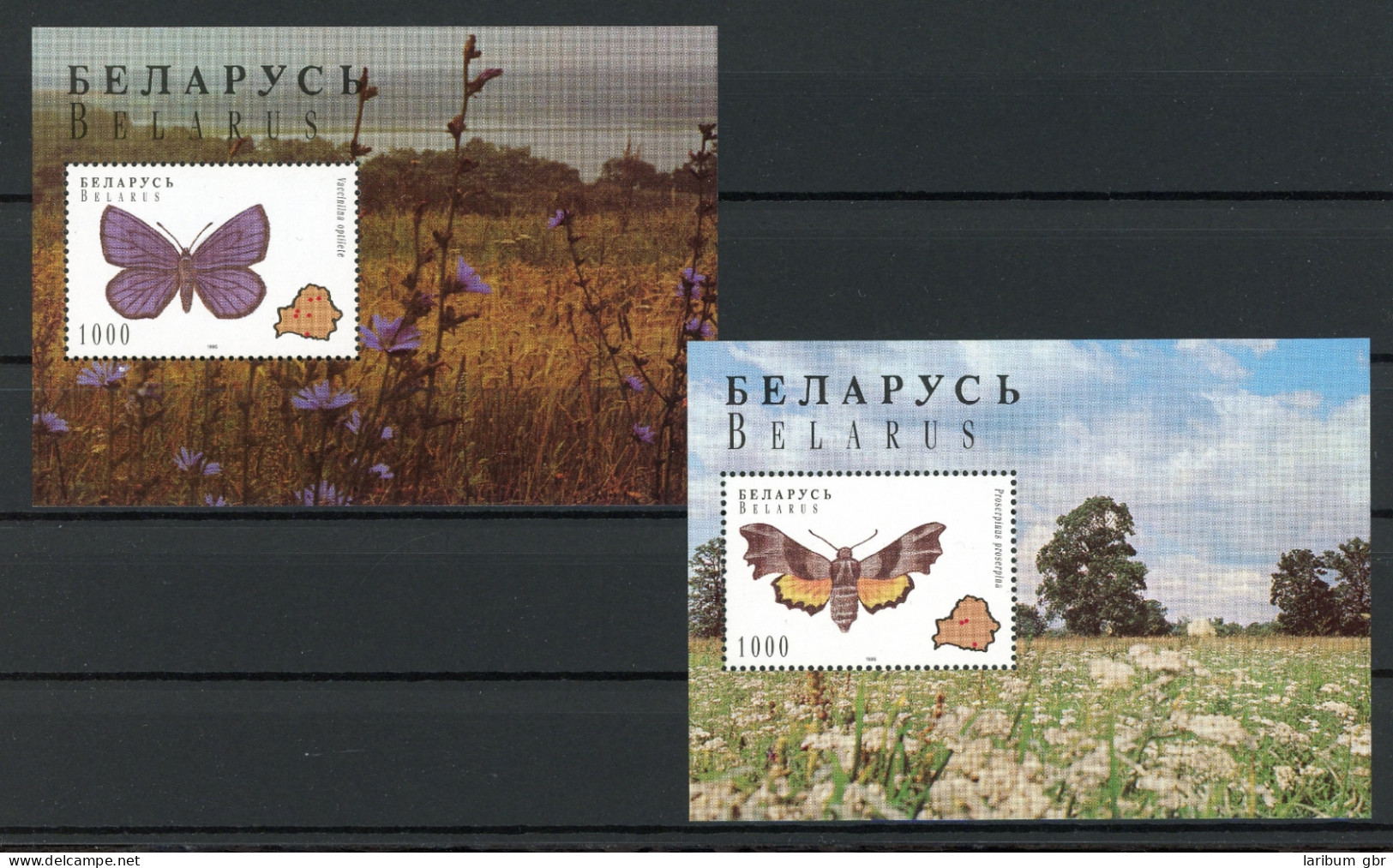 Weißrussland Block 7-8 Postfrisch Schmetterlinge #HX140 - Bielorrusia