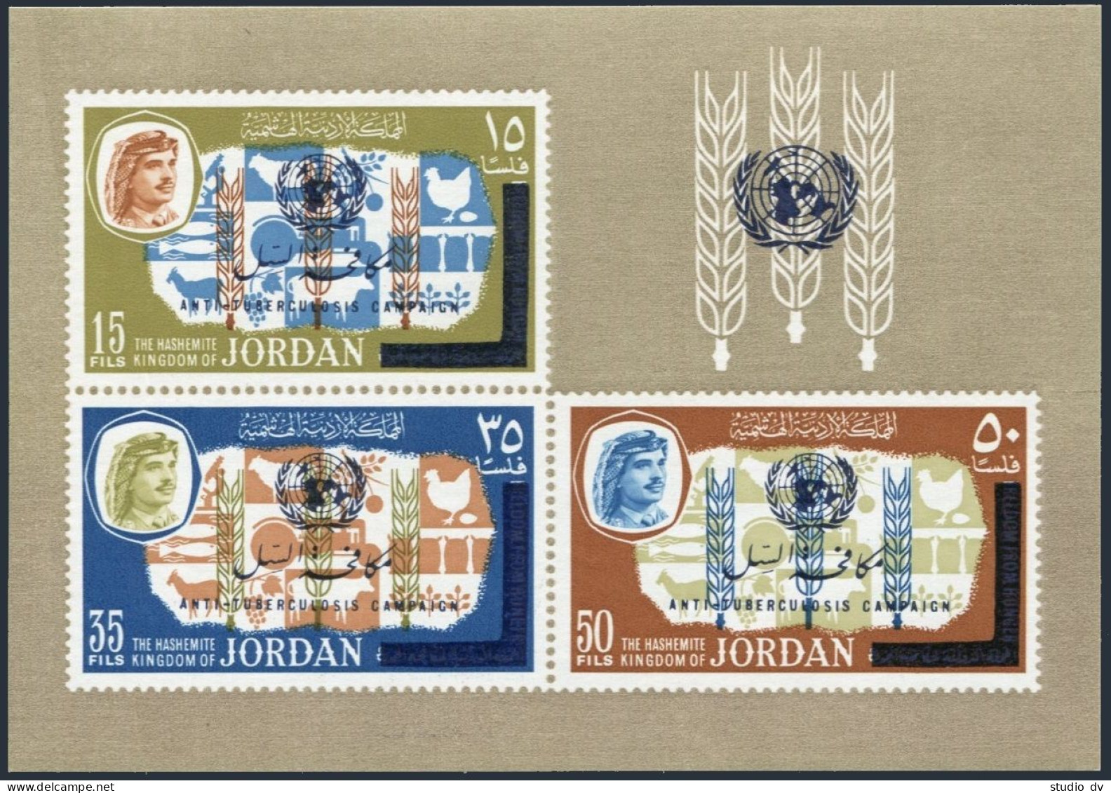 Jordan 529C,529D,MNH.Mi Bl.33-34.Anti-tuberculosis Campaign,1966.FAO Overprinted - Jordanie