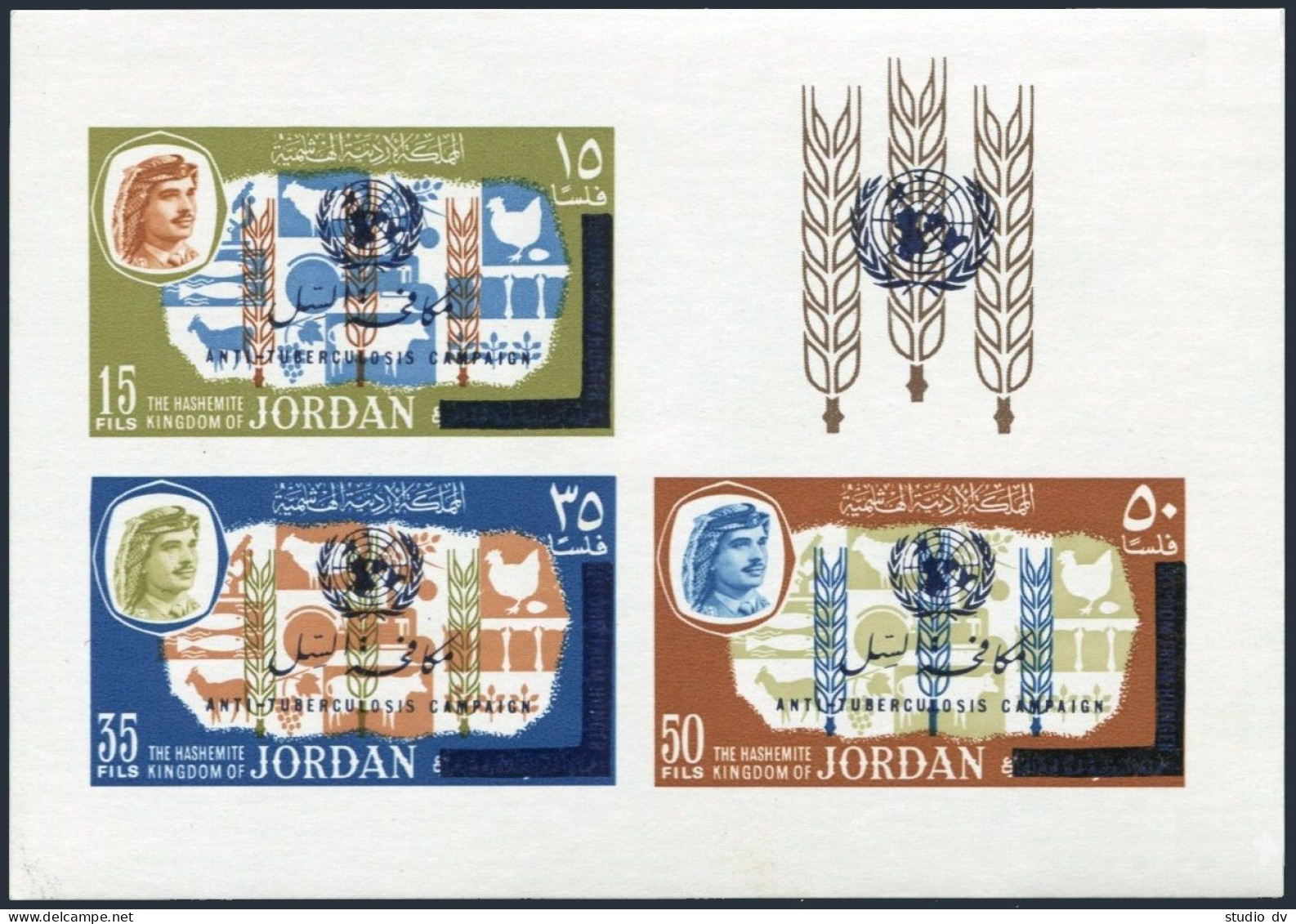 Jordan 529C,529D,MNH.Mi Bl.33-34.Anti-tuberculosis Campaign,1966.FAO Overprinted - Jordanien