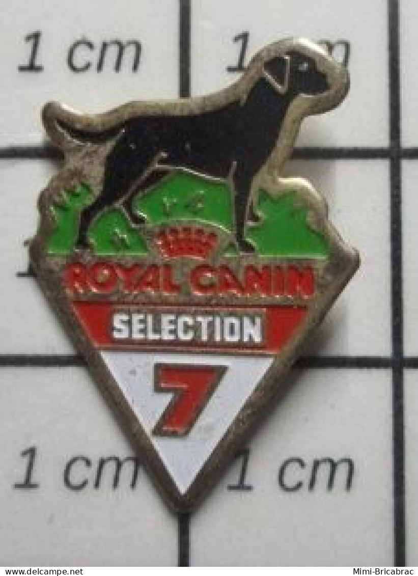 1818B  Pin's Pins / Beau Et Rare / ANIMAUX / CHIEN NOIR ROYAL CANIN SELECTION N°7 - Tiere