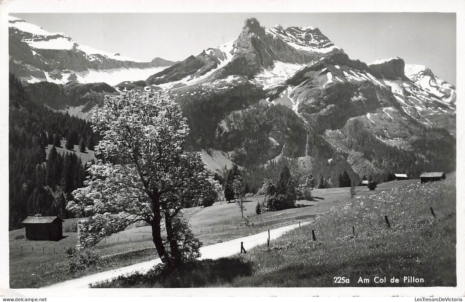 SUISSE - Am Col De Pillon - Vue Générale - Carte Postale - Sonstige & Ohne Zuordnung