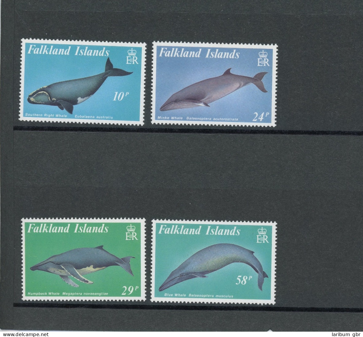 Falkland Inseln 503-506 Postfrisch Tiere #JK455 - Falkland Islands