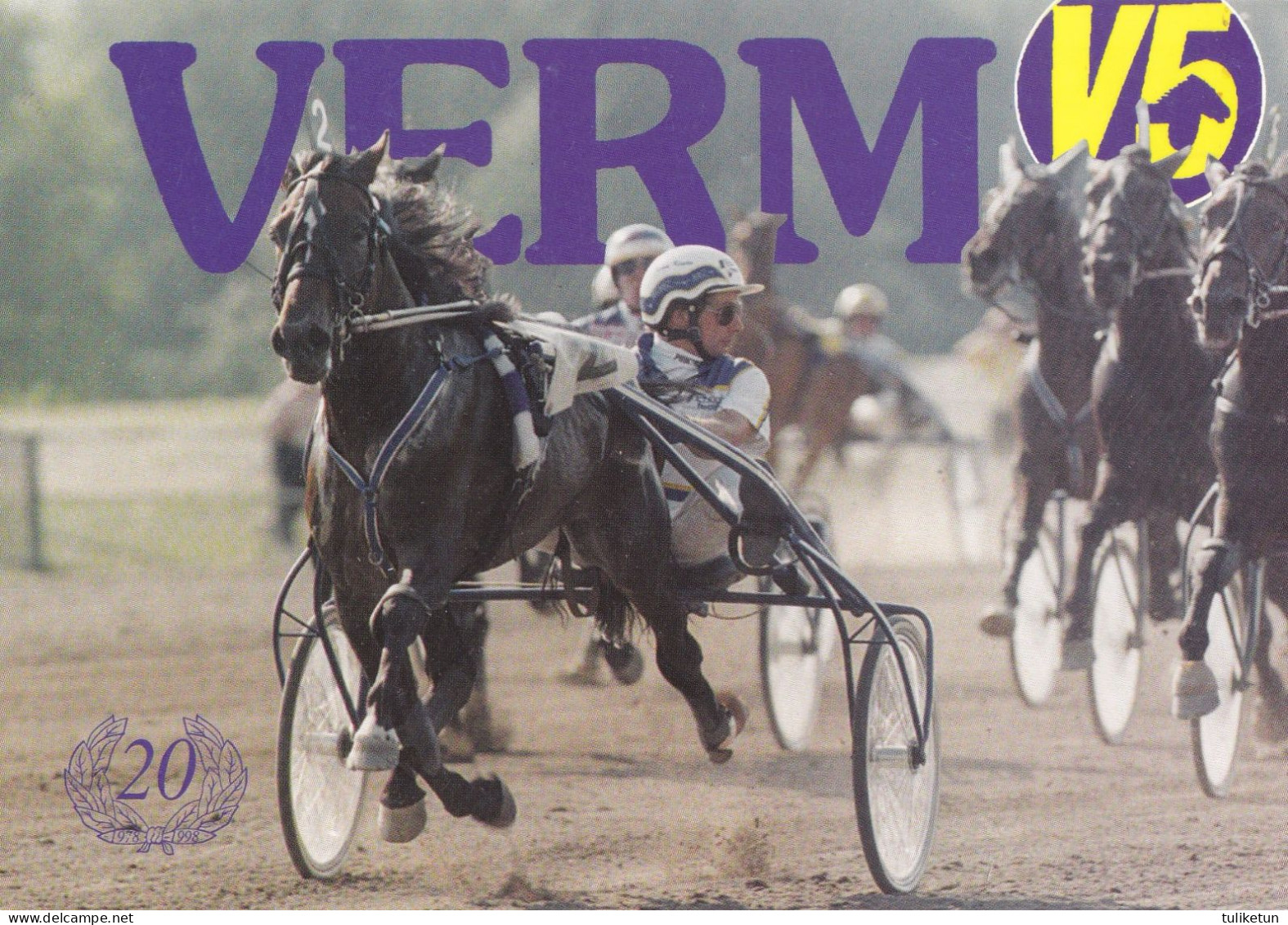 Horse - Cheval - Paard - Pferd - Cavallo - Cavalo - Caballo - Häst - Ravit - Vermo V5 - 20 Years Old - 1978 - 1998 - Paarden