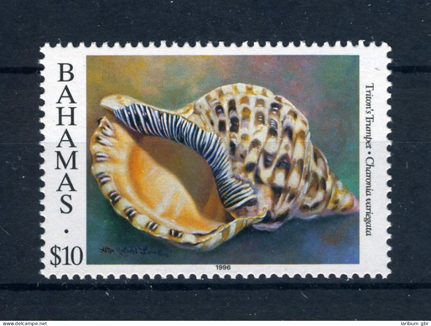 Bahamas 914 I Postfrisch Muscheln/ Schnecken #JK378 - Bahamas (1973-...)