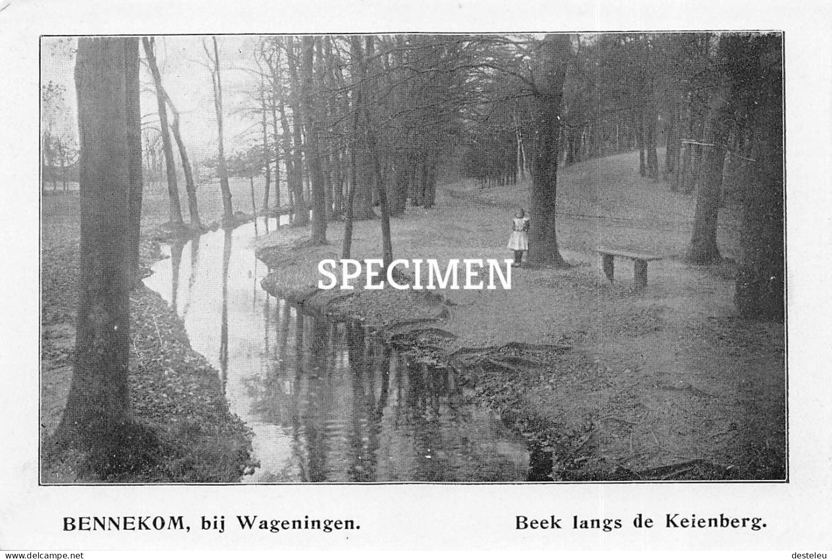Prent - Beek Langs De Keienberg - Bennekom  - 8.5x12.5 Cm - Other & Unclassified