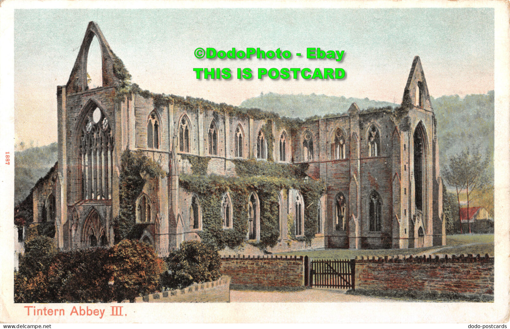 R358360 Tintern Abbey III. Pictorial Stationery. Peacock. Autochrom - World