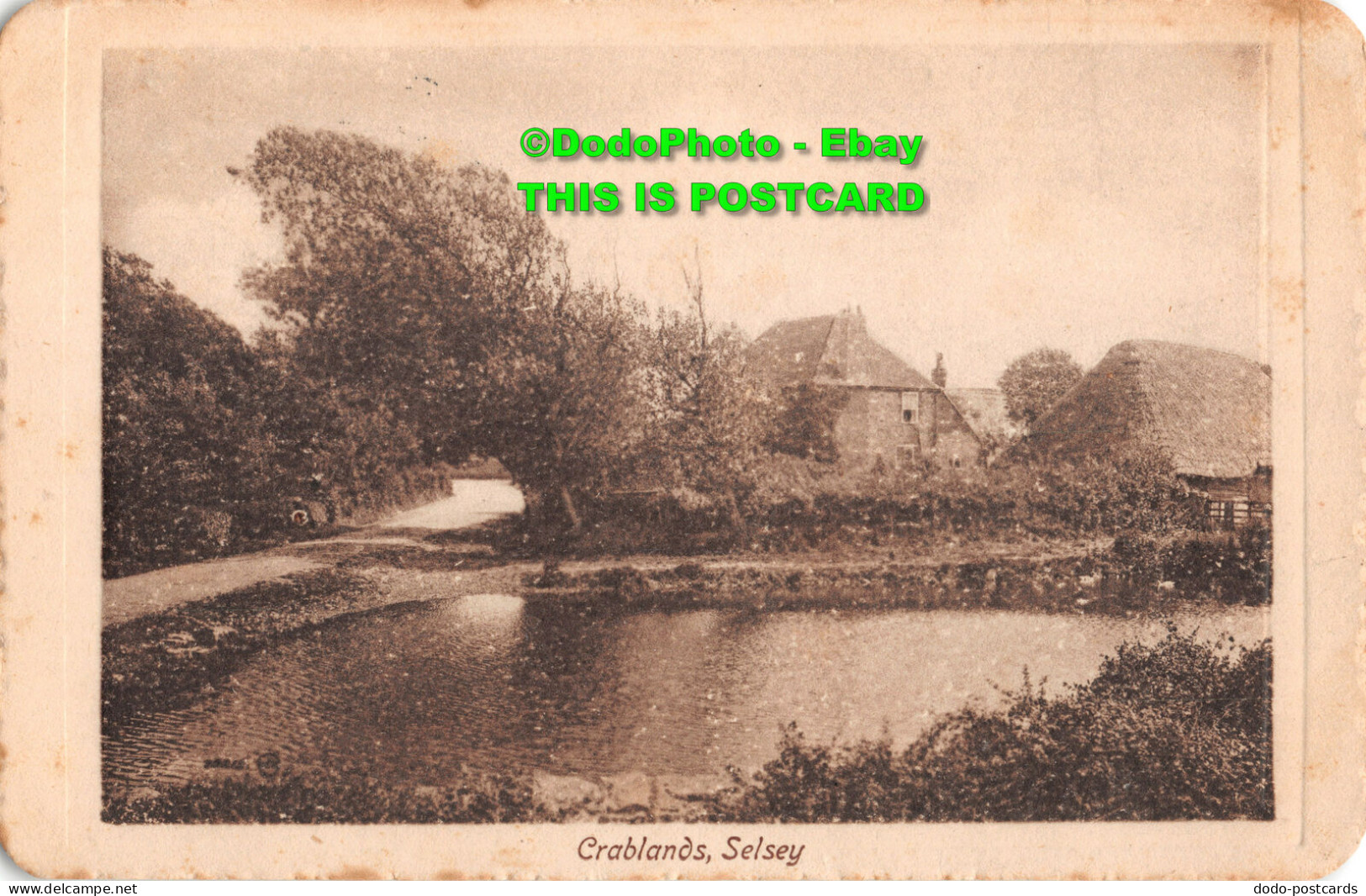 R358362 Selsey. Crablands. S. Woodland. 1917 - World