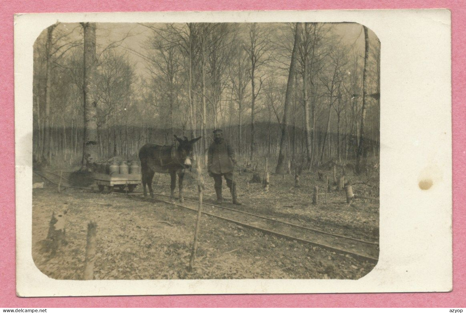 ELSASS - LOTHRINGEN - Carte Photo - Feldbahn - Wagonet Tiré Par Un Ane - Esel - Ravitaillemant - Guerre 14/18 - 3 Scans - War 1914-18