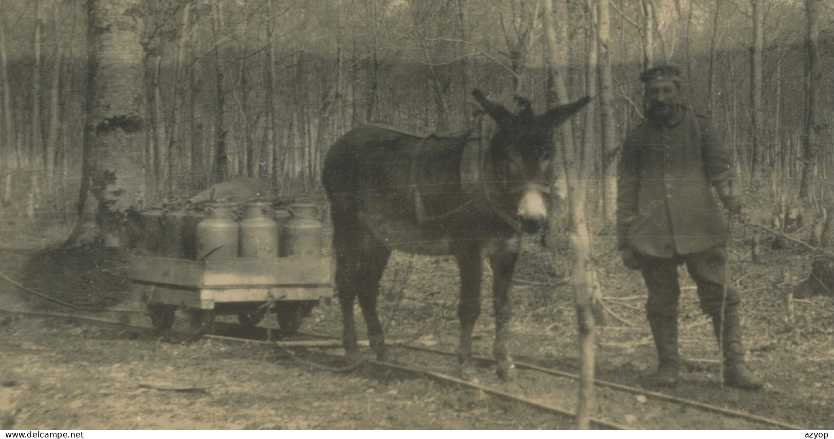 ELSASS - LOTHRINGEN - Carte Photo - Feldbahn - Wagonet Tiré Par Un Ane - Esel - Ravitaillemant - Guerre 14/18 - 3 Scans - War 1914-18