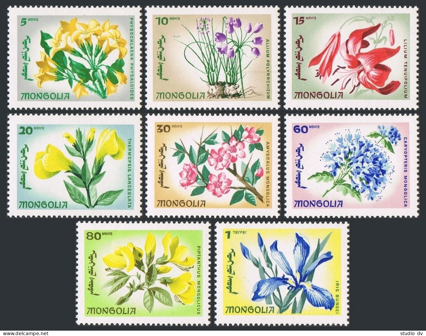 Mongolia 422-429,MNH.Michel 435-442. Flowers 1966. - Mongolie