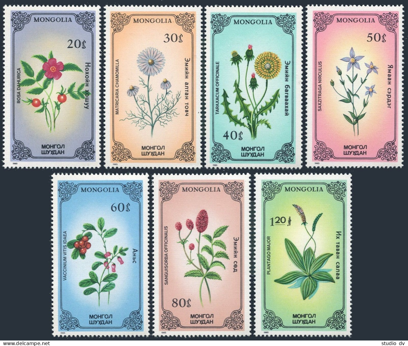 Mongolia 1456-1462,MNH.Michel 1712-1718. Indigenous Flowering Plants.1985 - Mongolie