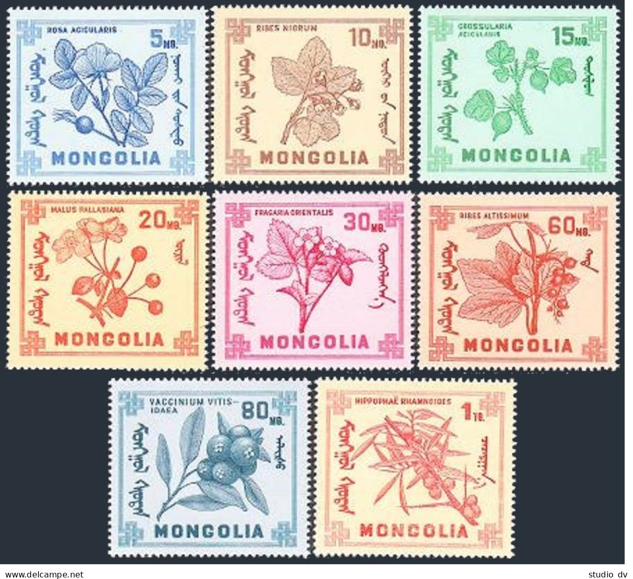 Mongolia 475-482,MNH.Michel 490-497. Berries 1968. - Mongolei