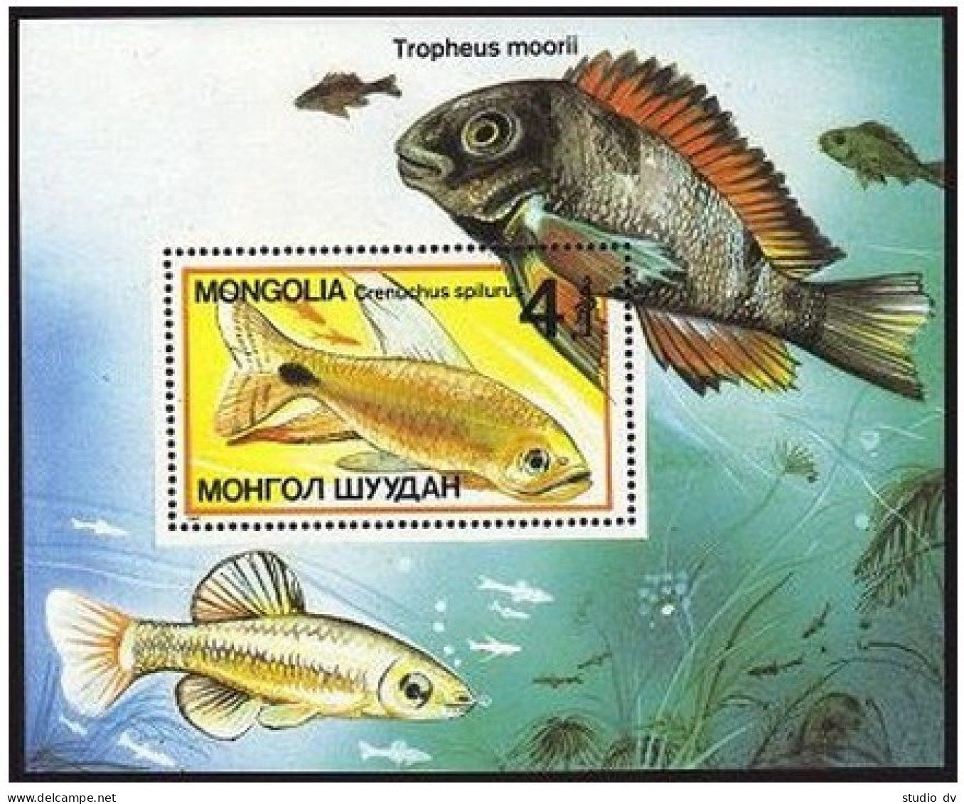 Mongolia 1639-1645, 1646, MNH. Mi 1836-1842, 1843 Bl.119. Tropical Fish 1987. - Mongolie