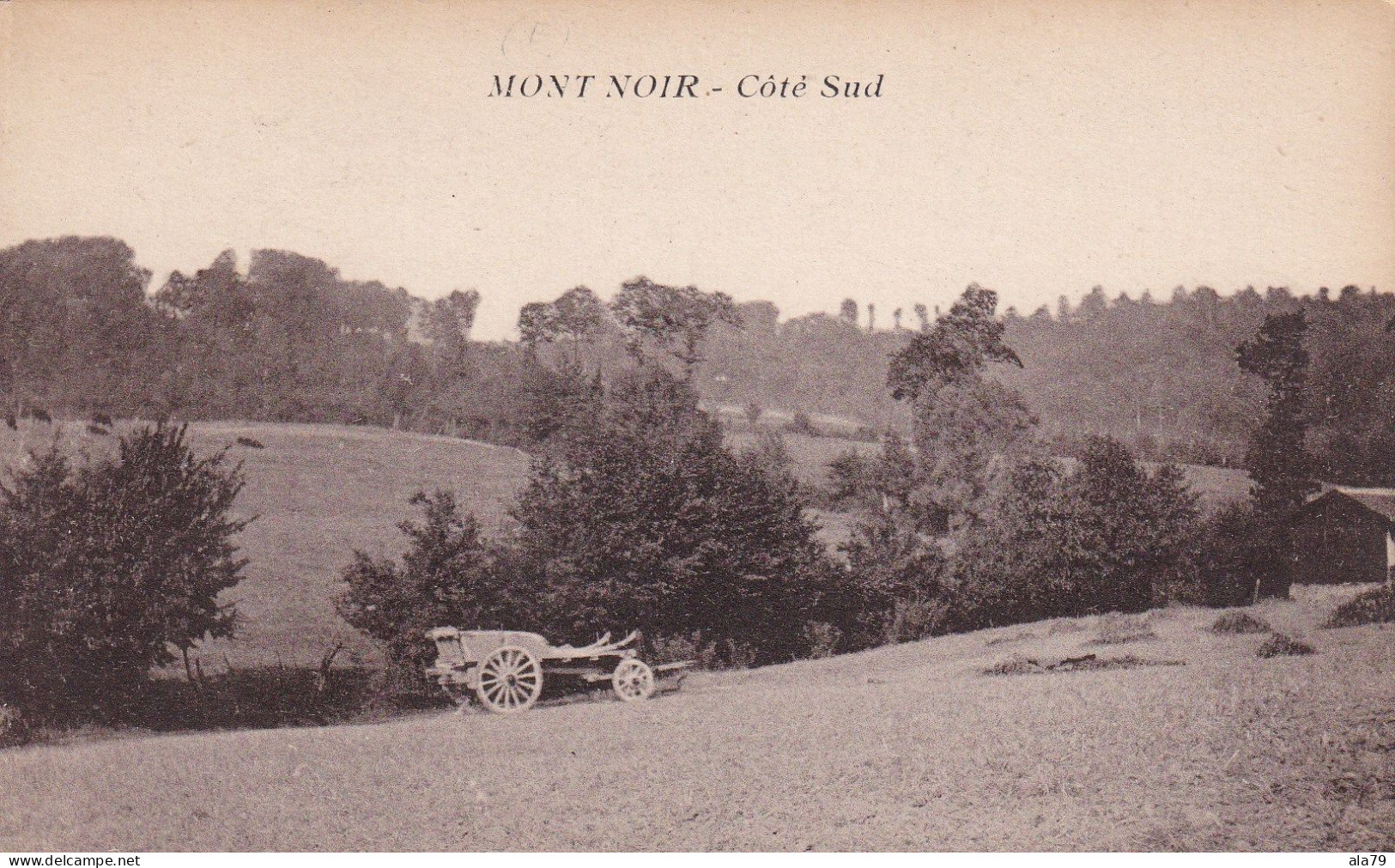 Mont Noir Coté Sud - Andere & Zonder Classificatie