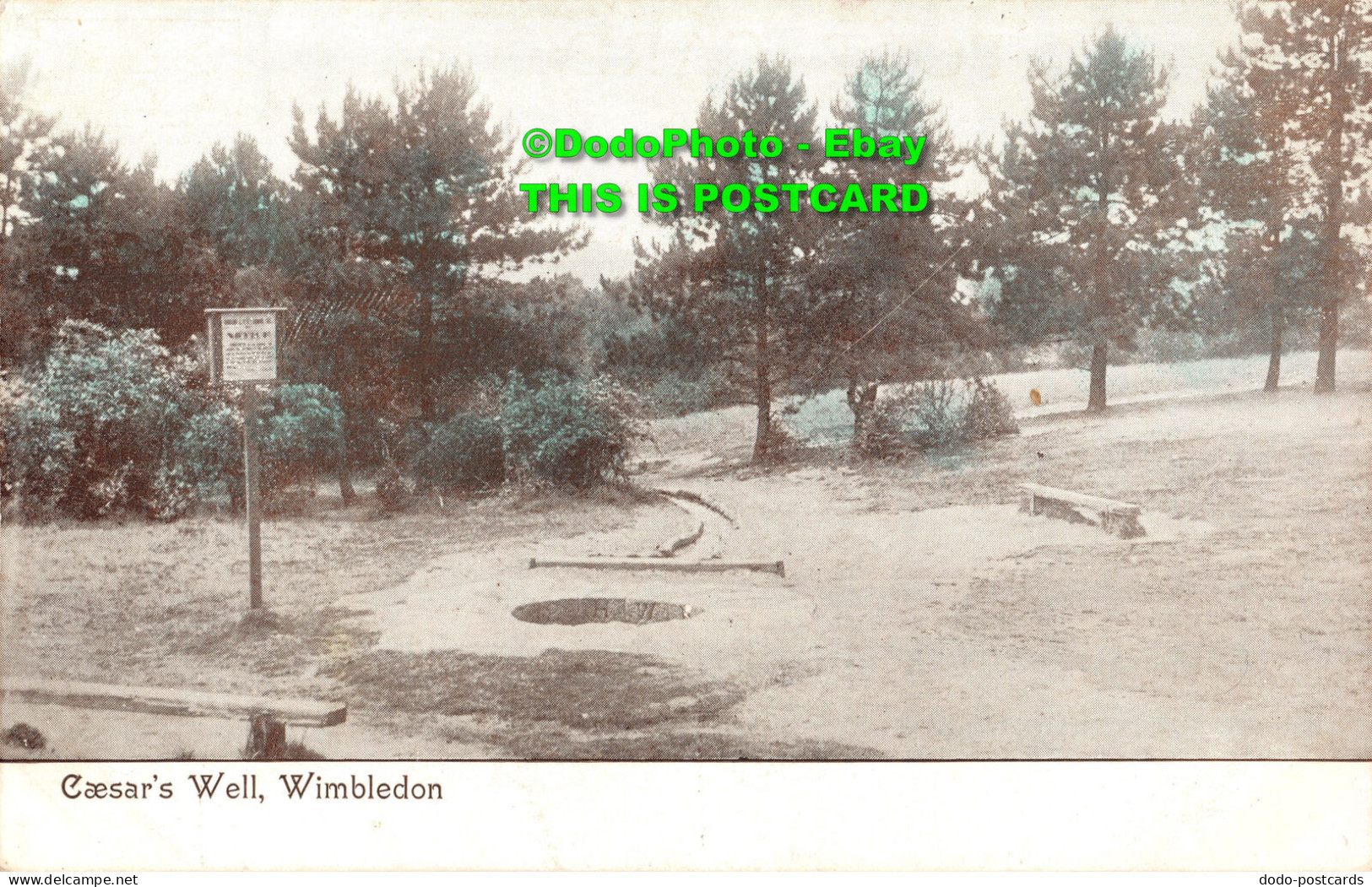 R358869 Wimbledon. Caesar Well. Postcard - World