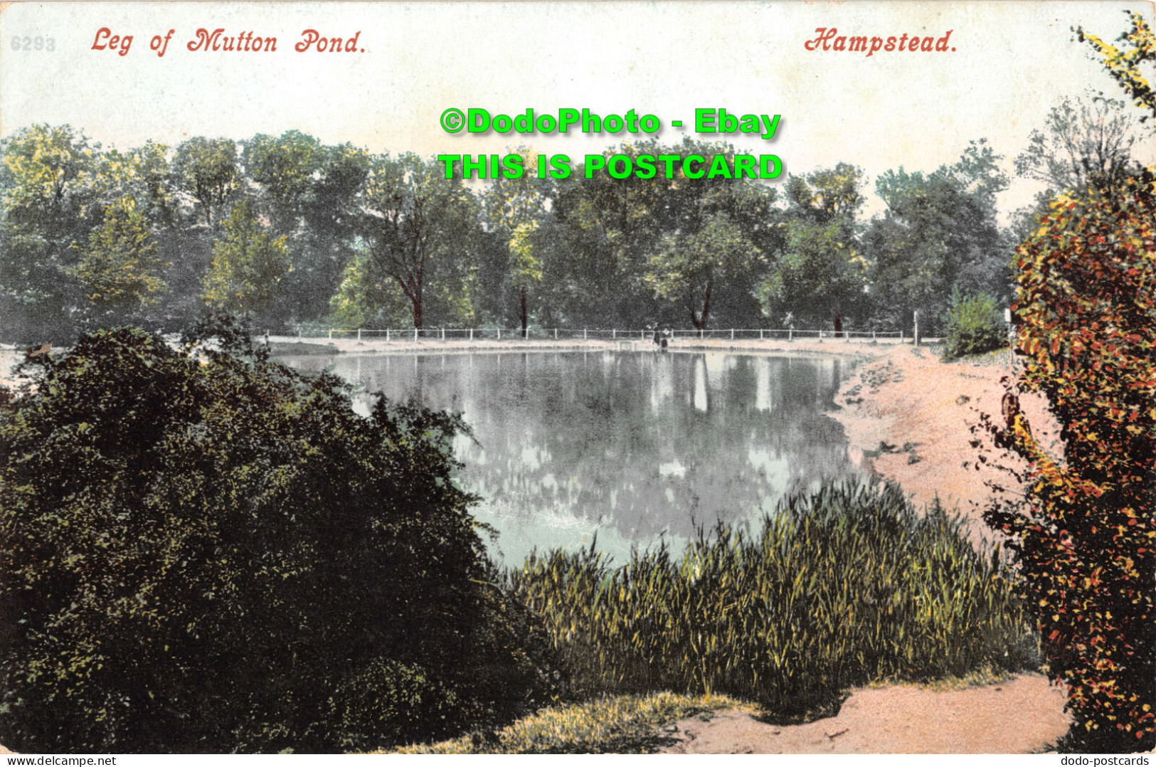 R358874 Hampstead. Leg Of Mutton Pond. Postcard - World