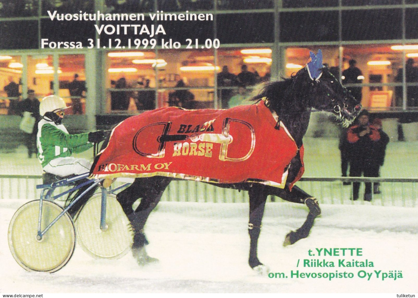 Horse - Cheval - Paard - Pferd - Cavallo - Cavalo - Caballo - Häst - Ravit - Ynette The Last Winner Of The Millennium - Paarden