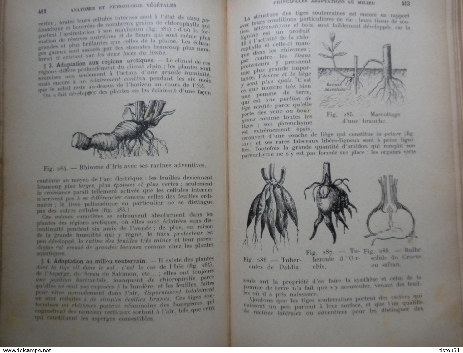 A. Pizon, Précis D'Histoire Naturelle, 1930 - Sciences