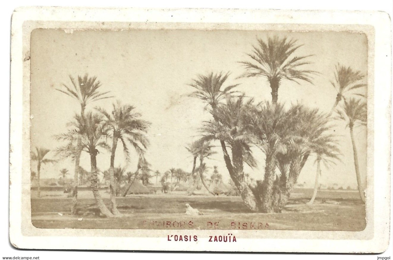 Photo Ancienne Sur Carton Environs De Biskra Oasis Zaouïa Ph Veuve Thomas Rue Bab Azoun Alger - Places