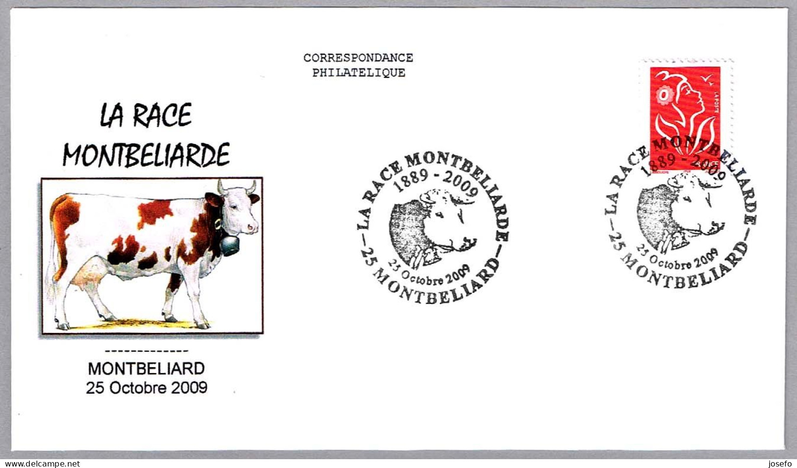 LA RAZE MONTBELIARDE - Montbeliarde Cow.  Montbeliard, Francia, 2009 - Granjas