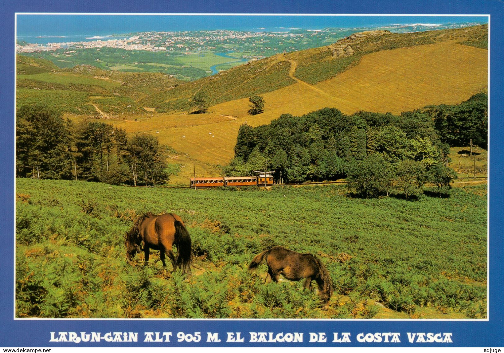 CPM-64- LARUN - GAIN _ Les Pottoks - Le Train Et Au Fond, St-Jean De Luz  *TBE- **2 Scans - Altri & Non Classificati