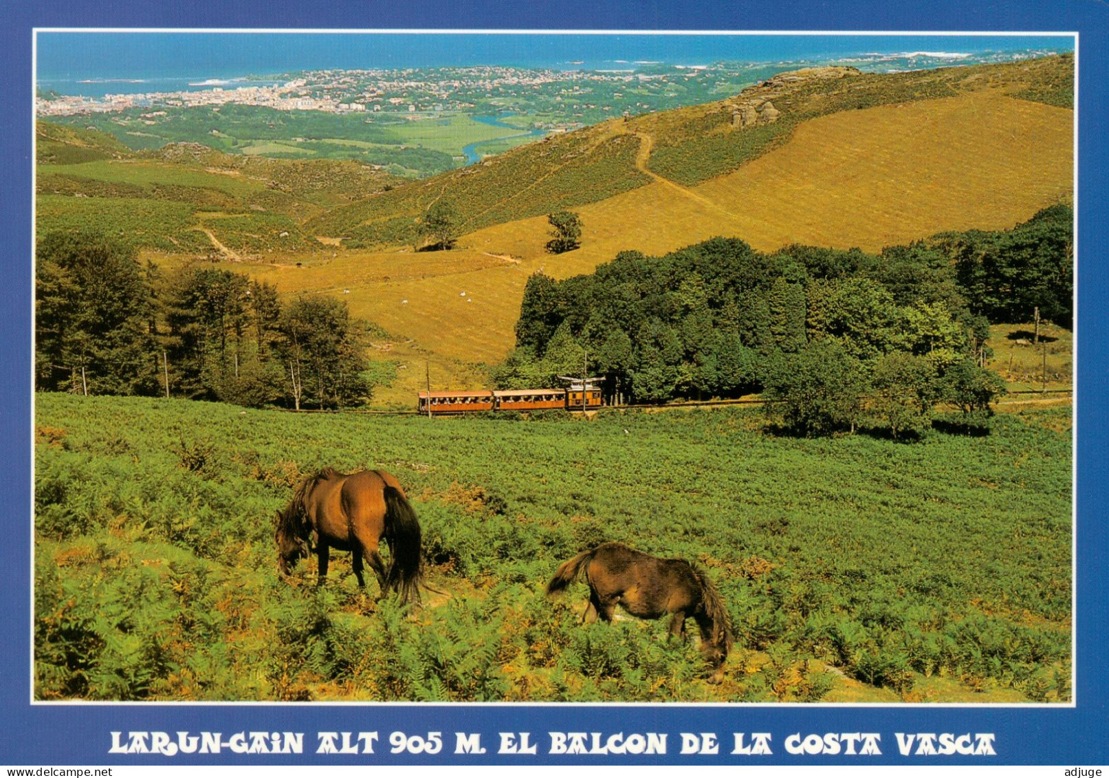 CPM-64- LARUN - GAIN _ Les Pottoks - Le Train Et Au Fond, St-Jean De Luz  *TBE- **2 Scans - Autres & Non Classés