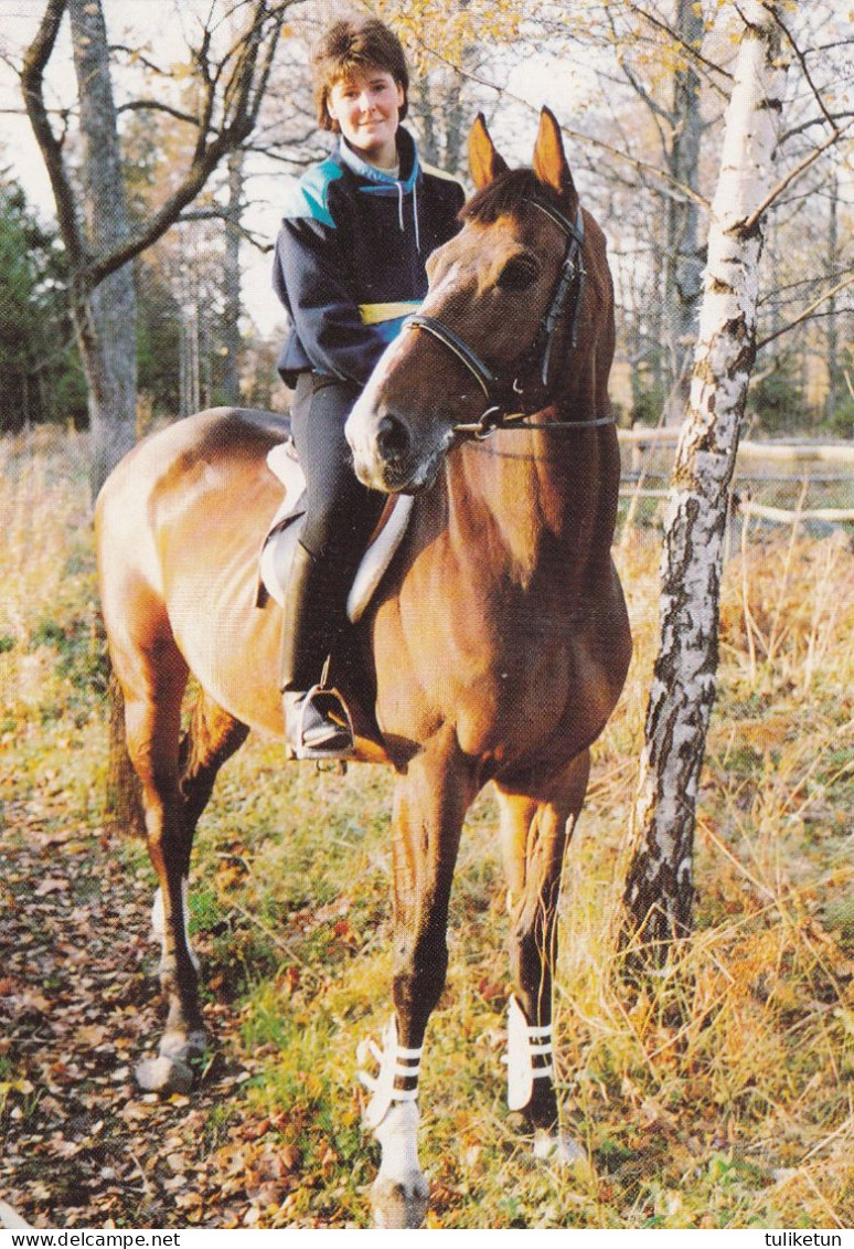 Horse - Cheval - Paard - Pferd - Cavallo - Cavalo - Caballo - Finnish Rider Kati Hurme & Pohjola Metropolitan - Cavalli