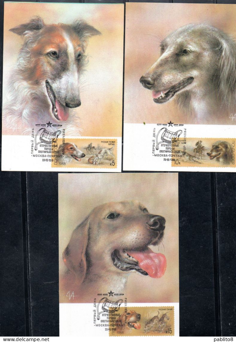 RUSSIA URSS RUSSIE 1988 HUNTING DOGS CANI DA CACCIA COMPLETE SET SERIE COMPLETA MAXI MAXIMUM CARD CARTE - Maximumkarten
