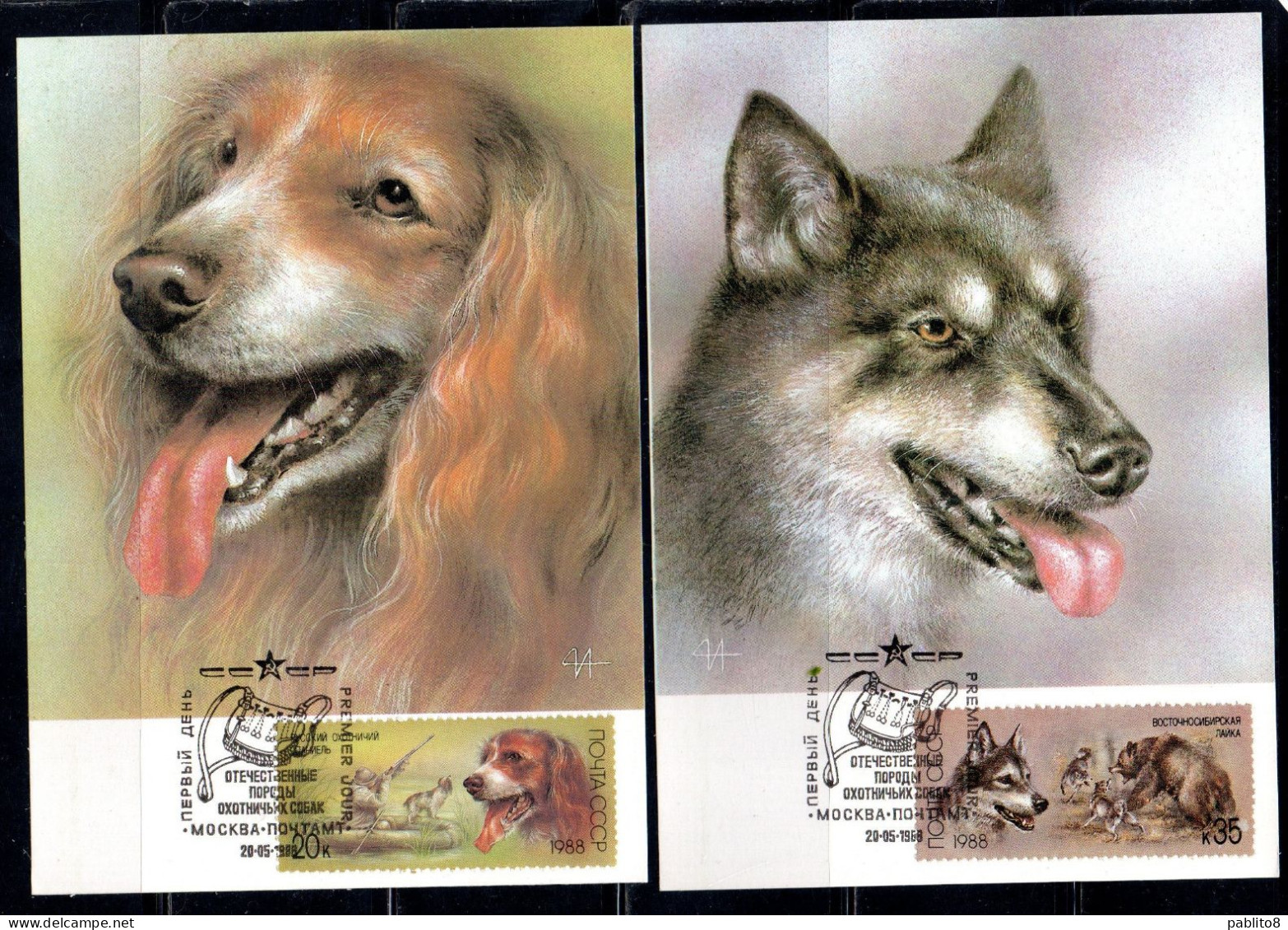 RUSSIA URSS RUSSIE 1988 HUNTING DOGS CANI DA CACCIA COMPLETE SET SERIE COMPLETA MAXI MAXIMUM CARD CARTE - Tarjetas Máxima