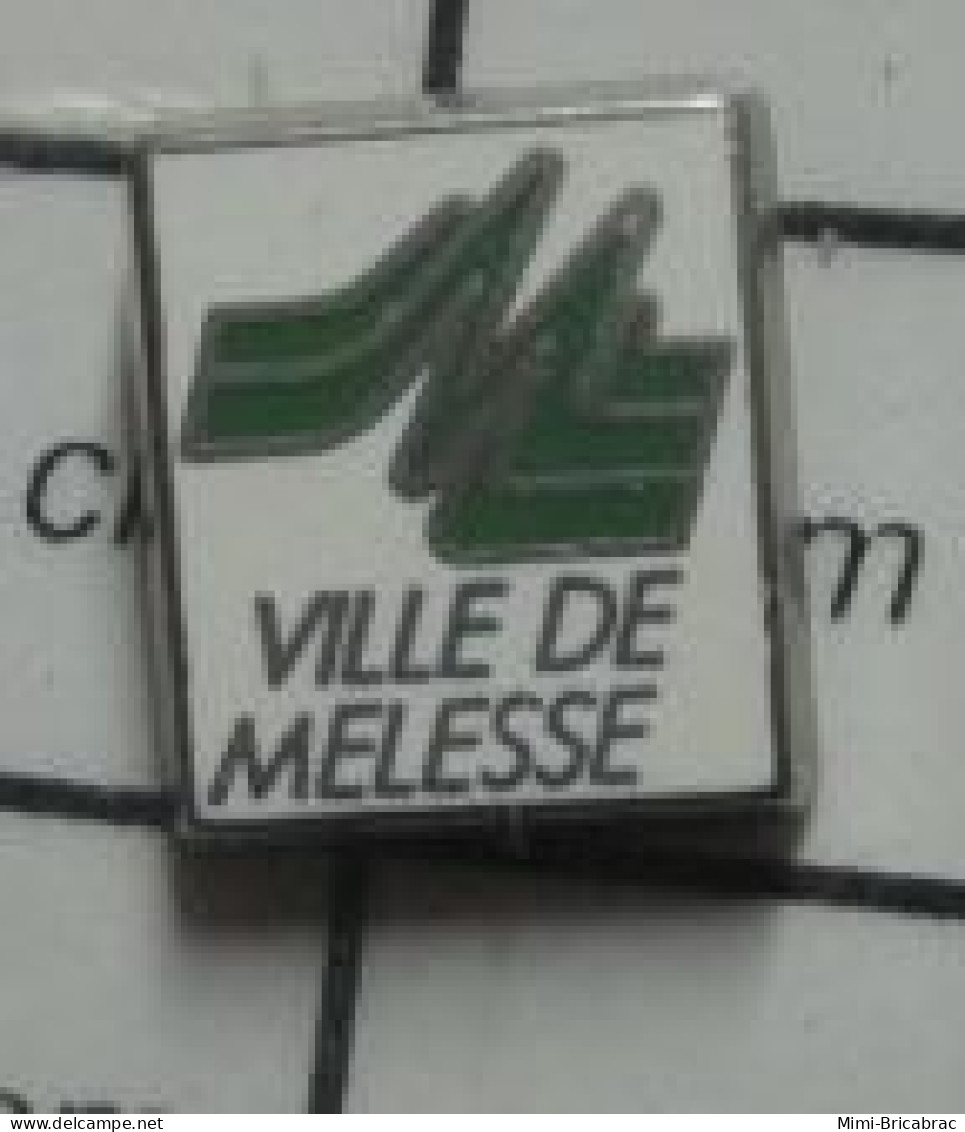 1818B Pin's Pins / Belle Qualité Et Rare / VILLES / VILLE DE MELESSE-PATOMBER  Ille-et-Vilaine En Région Bretagne - Cities