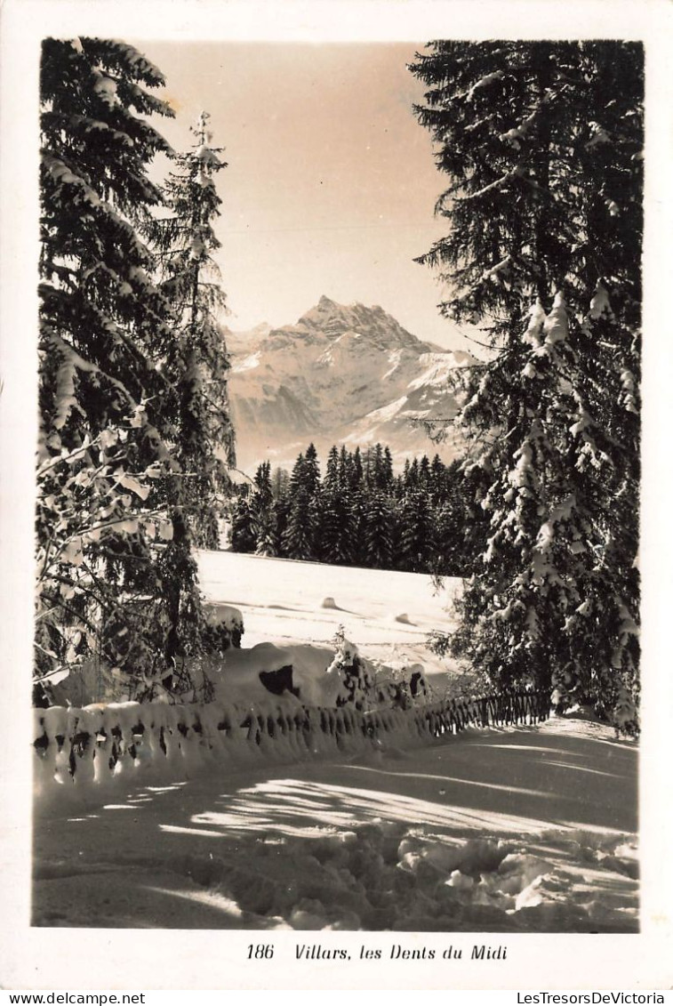 SUISSE - Villars - Les Dents Du Midi - Neige - Allée - Forêt - Carte Postale - Morcles