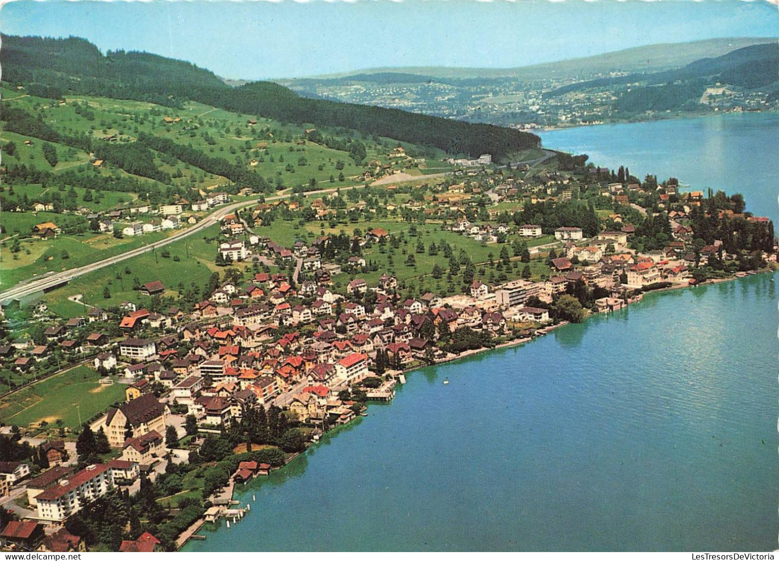 SUISSE - Hergiswil Am Vierwaldstattersee - Vue Sur Une Partie De La Ville - Carte Postale - Hergiswil