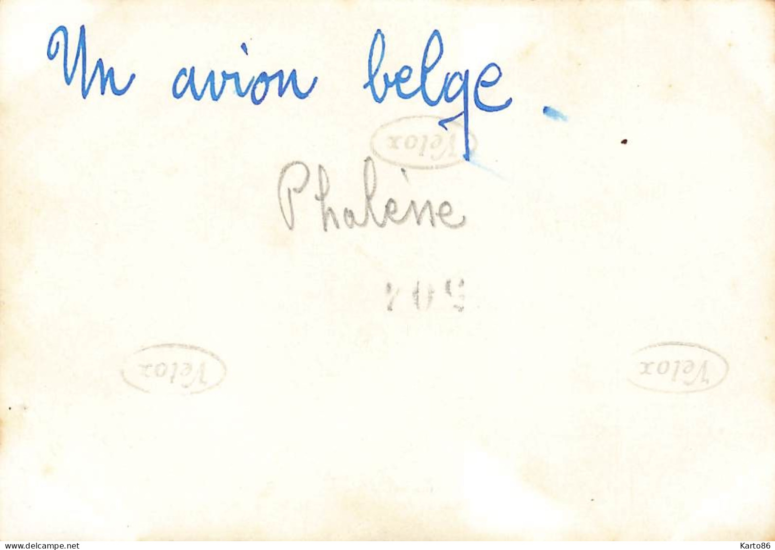 La Baule * Aviation * Avion Belge Phalène * Aérodrome Aviateur * 1938 * Photo Ancienne 9x6.5cm - La Baule-Escoublac