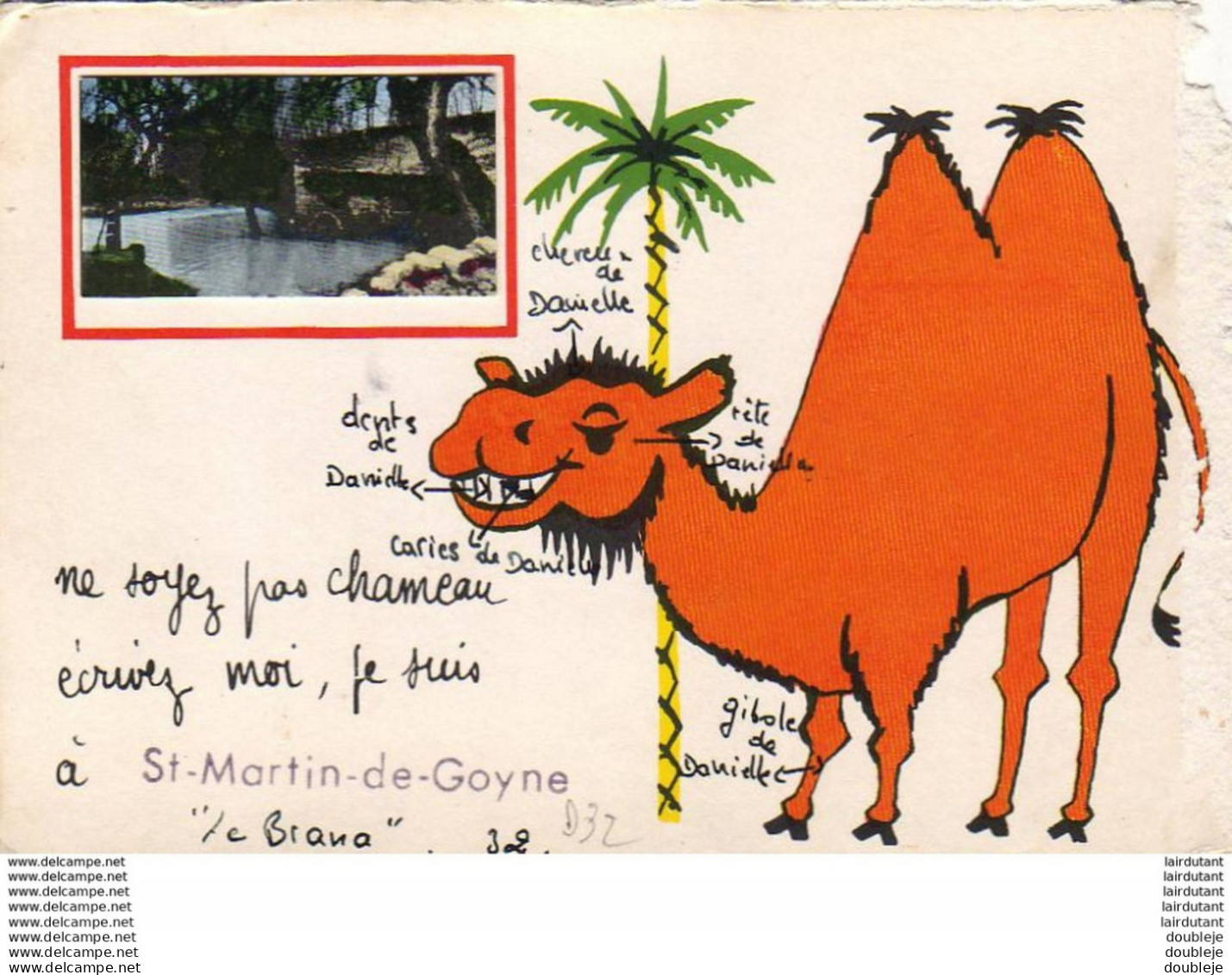 D32  SAINT- MARTIN- DE- GOYNE  Ne Soyez Pas Chameau écrivez Moi, Je Suis à St- Martin- De- Goyne  ..... - Other & Unclassified