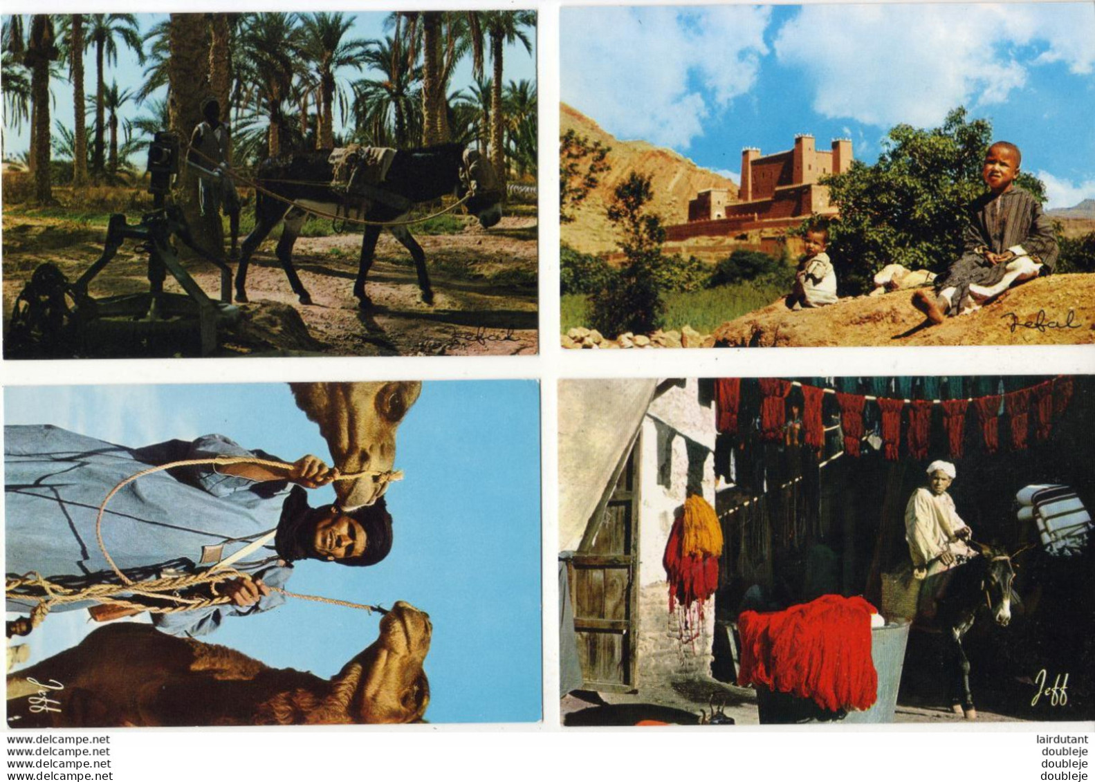 ALGÉRIE LOT DE 8 CPSM Série Algérie Pittoresque - Scènes & Types