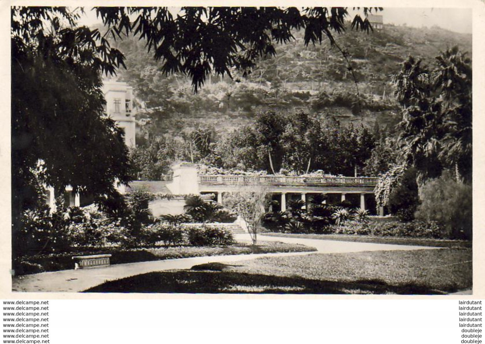 ALGERIE  ALGER   Jardin D' Essai- Jradin Français  ..... - Alger