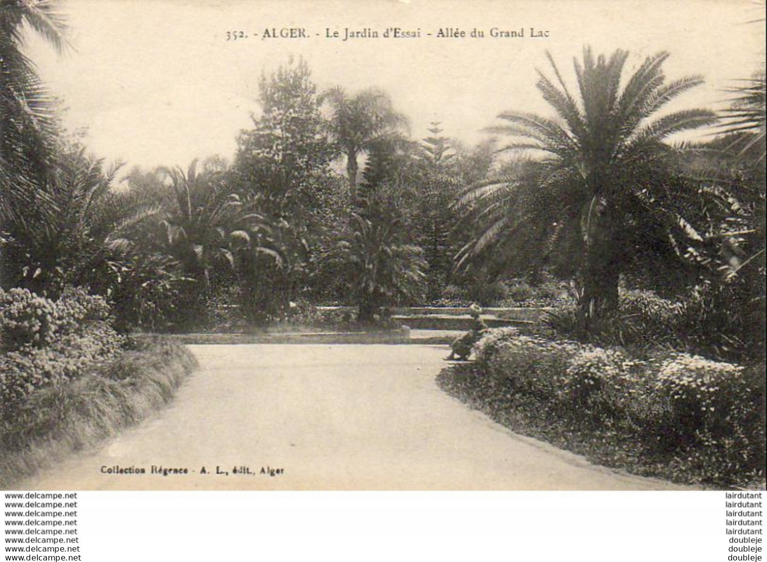 ALGERIE  ALGER   Le Jardin D' Essai- Allée Du Grand Lac  ..... - Alger