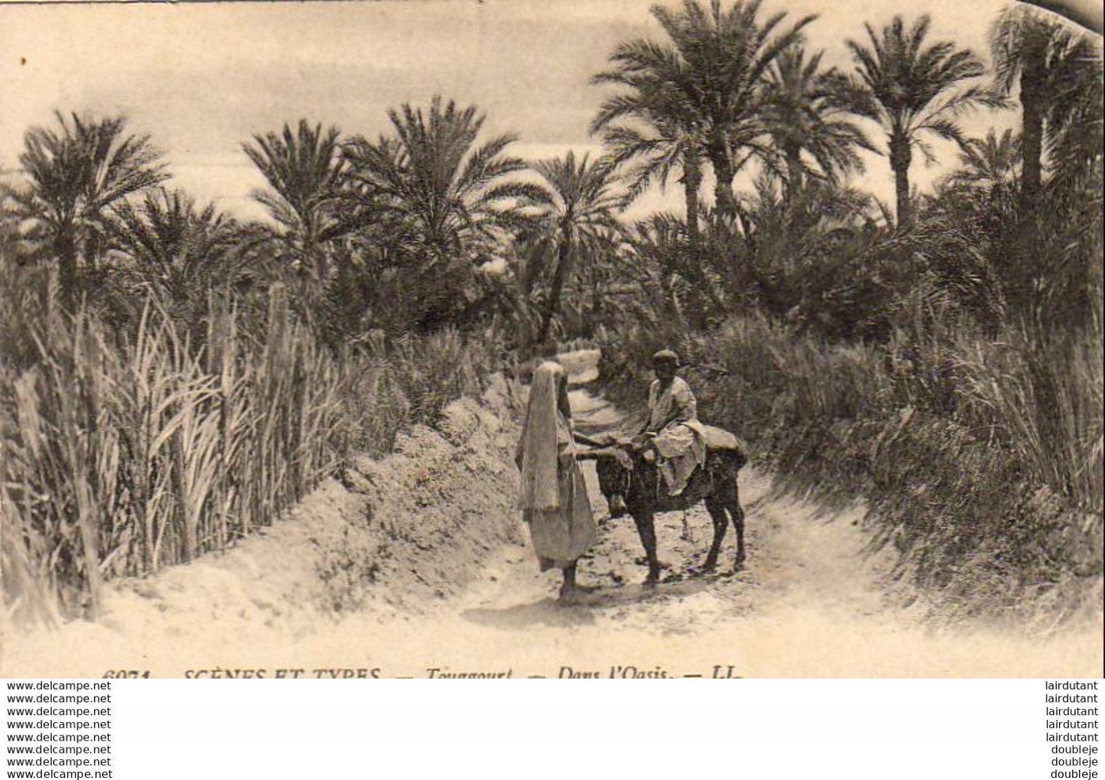 ALGERIE  SCENES ET TYPES  Touggourt -Dans L'Oasis ..... ( Ref FF1528 ) - Scene & Tipi