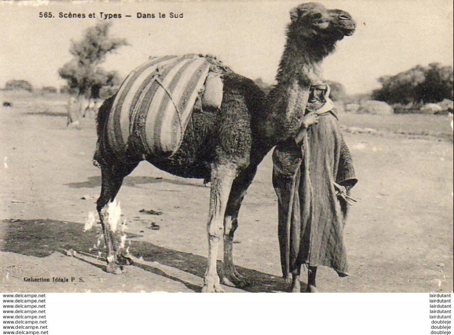 ALGERIE  SCENES ET TYPES  Dans Le Sud ( 2°choix ) ..... ( Ref FF1655 ) - Scene & Tipi