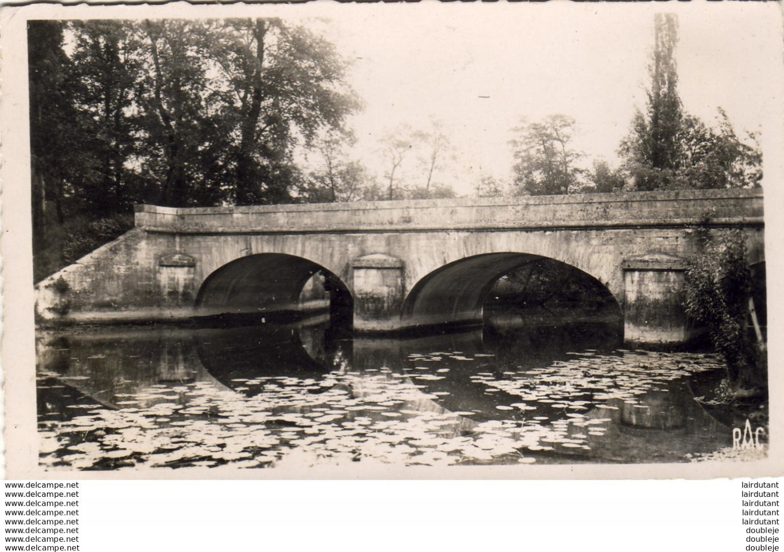 D24  RIBERAC ...... De La Dronne Au Pont Paquie ( Petit Manque Sur La Légende ) - Riberac