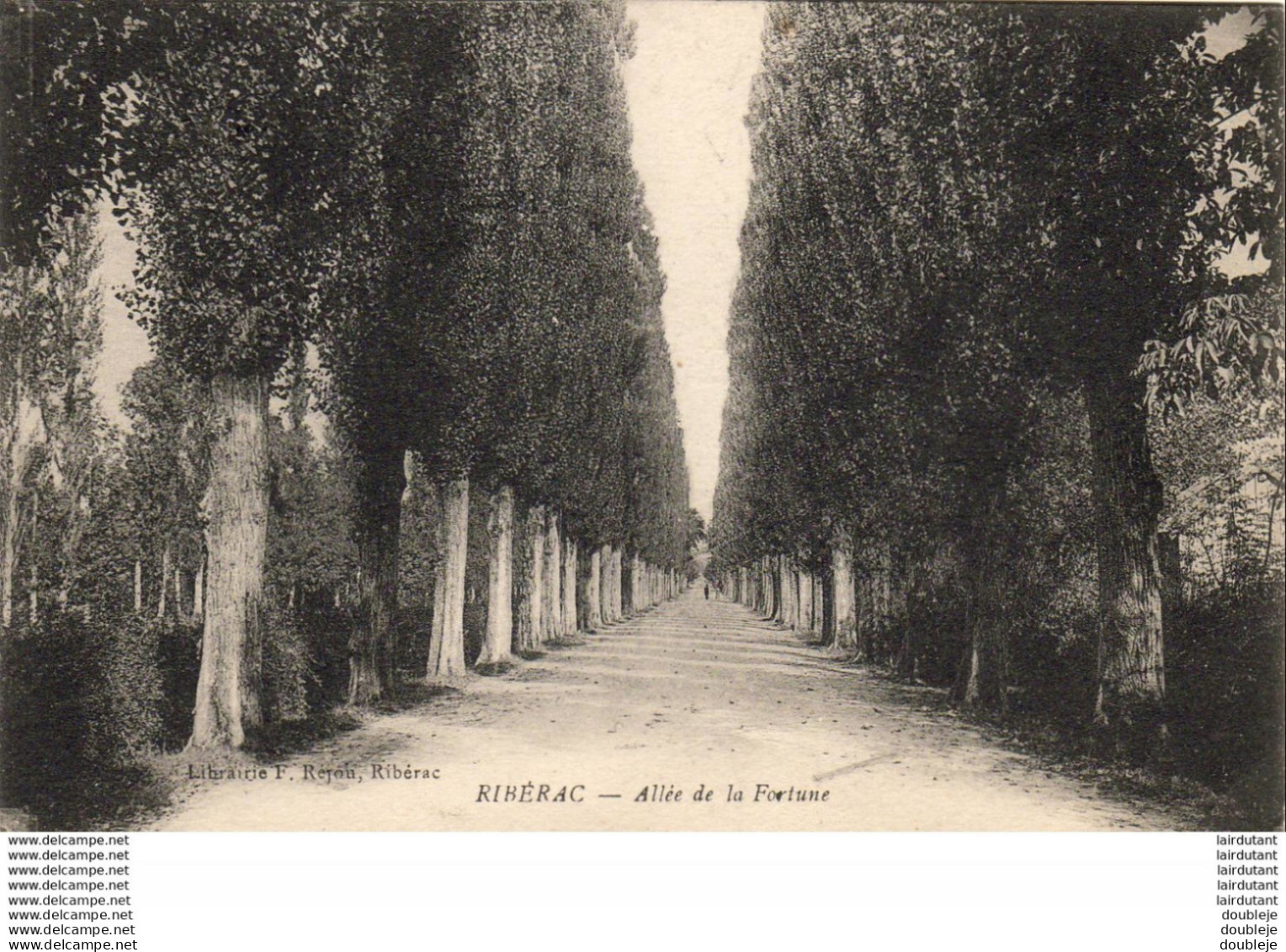 D24  RIBERAC   Allée De La Fortune - Riberac