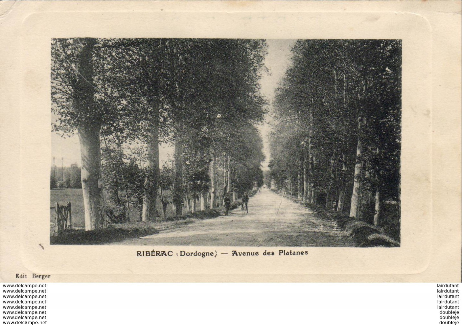 D24  RIBERAC   Avenue Des Platanes - Riberac