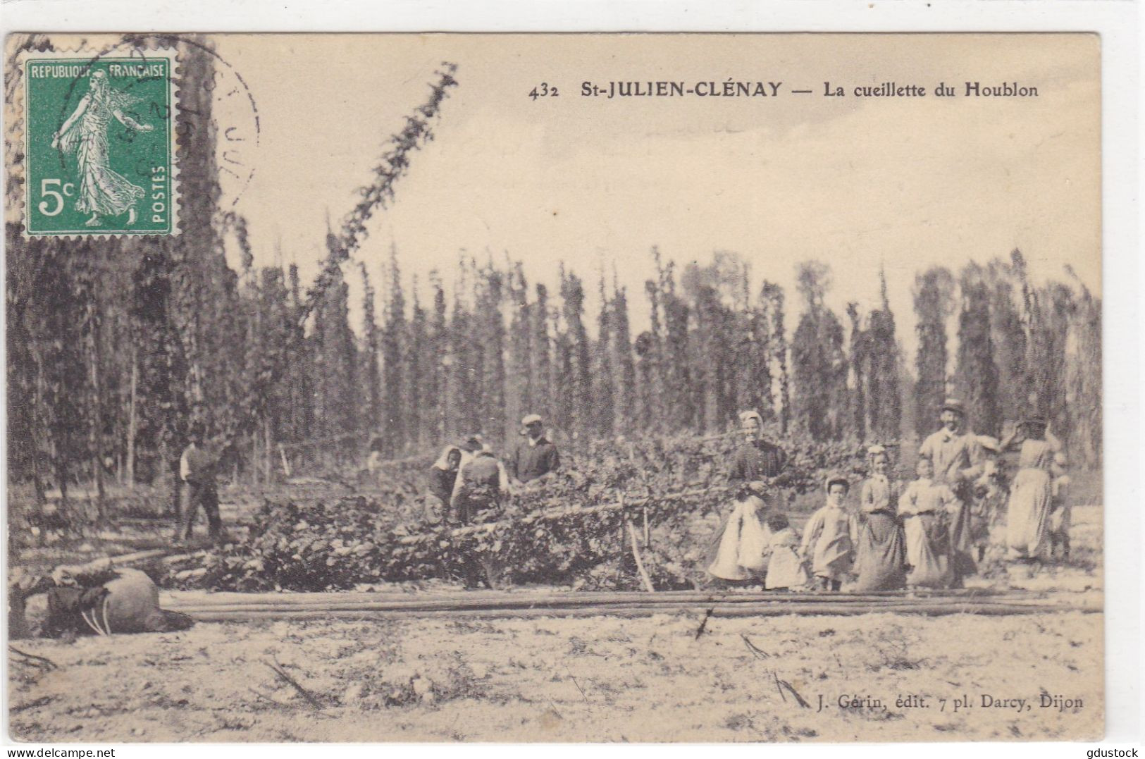 Côte-d'Or - St-Julien-Clénay - La Cueillette Du Houblon - Sonstige & Ohne Zuordnung